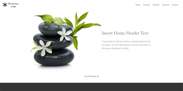 Spa Beauty Theme Demo Website